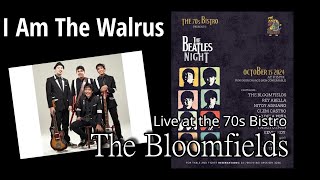 I Am The Walrus performed by the Bloomfields Live at the 70s Bistro for the Beatles night 2024 [upl. by Ker235]