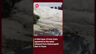 Toxic foam seen on water released from Kelavarappalli Dam in Hosur shorts [upl. by Margit623]