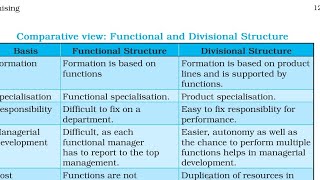 difference between functional structure and divisional structure  class 12 business studies [upl. by Ylicis]