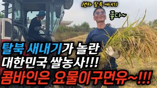 탈북 1년차와 10년차가 모두 놀란 대한민국의 쌀 농사법 몇십명에 몇달해야 할 농사를 하루에 다 하는 콤바인은 대체 뭘까 김영철콤프레샤 소통상회 탈북 [upl. by Kehr]