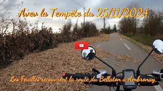 Les feuilles avec la tempête du 25112024 recouvrent la route du Bellaton Commune dAmbronay [upl. by Smaj]