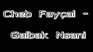 Cheb Fayçal  Galbak Nsani [upl. by Novah]