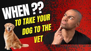 How to Know When to Take Your Dog to the Vet [upl. by Edithe]