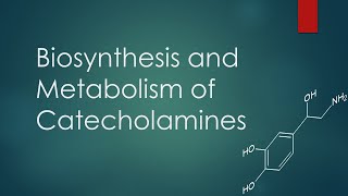 Biosynthesis and metabolism of catecholamines [upl. by Yerhcaz]