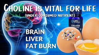 Choline health benefits choline is an essential nutrient Liver and brain health Fat burning [upl. by Hoy]