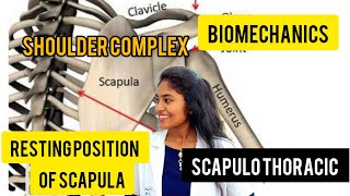 scapulothoracic joint biomechanics resting position of scapula [upl. by Porter]