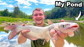 Catching Catfish to Stock My Pond [upl. by Akemor]