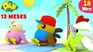 Los 12 Meses del Año  Canciones Infantiles  Didi amp Friends Español [upl. by Domela307]