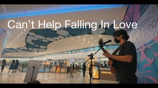 Cant Help Falling In Love  BUSKING COVER [upl. by Renaxela]