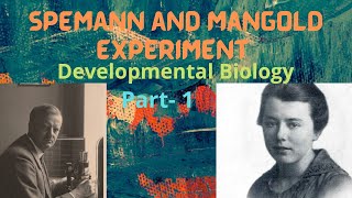 Spemann and Mangold Experiment l Development Biology l Experiment No1 l Part1csirnetlifescience [upl. by Ecital769]