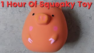 1 Hour Of Squeaky Pig Egg Toy [upl. by Atika]