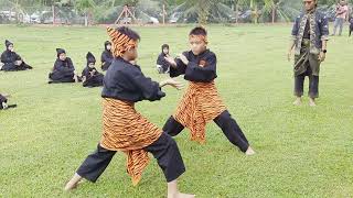 Seni Silat Gayung [upl. by Armmat]