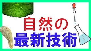 【驚愕】生体の機能を模倣するバイオミメティクスの応用技術の研究・・・ 生き物から学ぶ技術製品5選 [upl. by Mariele]