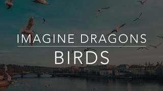 Imagine Dragons  Birds LyricsTraduçãoLegendadoHQ [upl. by Conn291]