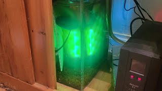 DIY lowcost internal UV sterilizer [upl. by Htebzile]