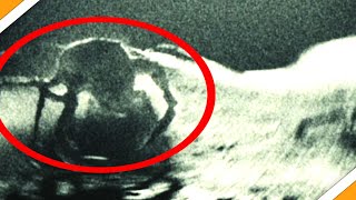 Moon Alien Spider Explained  Apollo 18 Movie [upl. by Acirat]