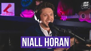 Niall Horan  The Show The Voice You Could Start A Cult [upl. by Sande]