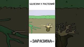 А вы слышали про quotЗАРАЗИХУquot  авызналиэто растения болезнь иф сэмонелла [upl. by Samalla754]