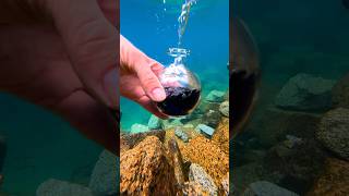 Irl potion acquired 🫧💦 alaska asmr underwater [upl. by Nosnek]