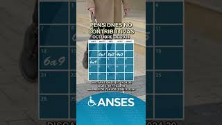 Cronograma de Anses con fechas de pago a PNC en octubre de 2024 anses [upl. by Pirbhai741]