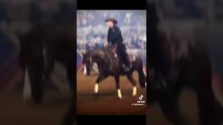 Reining horses horse rodeotime horseenthusiast rodeolife horsefan [upl. by Tamaru443]