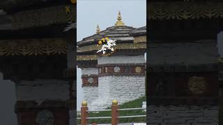 Dochula Bhutan bhutantravelguide bhutanshort bhutandiaries travel [upl. by Courtland851]