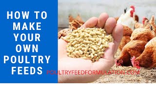 Poultry Feed Formulation How to Make your Own Poultry Feed HD [upl. by Amerigo]