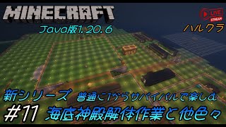 Java版マインクラフト1206 ！  11 新シリーズ 普通に1からサバイバルで楽しむ  海底神殿解体作業と他色々」 [upl. by Nagaet135]