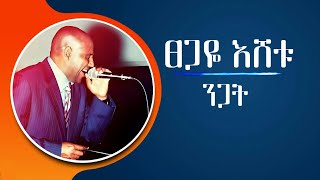 ፀጋዬ እሸቱ ንጋት  TSEGAYE ESHETU  Nigat [upl. by Trev]