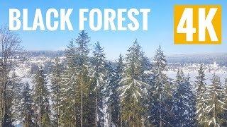 What to do Black Forest Germany 4K UHD Skiing amp Snowboarding [upl. by Elmo]