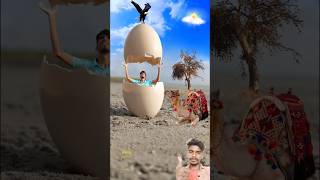 Crective Videography ideas for egg 🥟🥟🥚 shorts shortvideo trendingshorts [upl. by Akinyt]