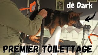 Premier Toilettage de Dark 😅🧽 [upl. by Pinsky807]