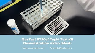 Ringbio Meat Antibiotic Residue Test Kit  QuaTest BTSCef Rapid Test Kit [upl. by Lambrecht43]