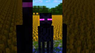 Czy to ptak Czy to samolot minecraft animacja xd enzzi [upl. by Deutsch]