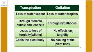 DIFFERENCE BETWEEN TRANSPIRATION AND GUTTATIONICSE BIOLOGY 10Shorts [upl. by Traver]