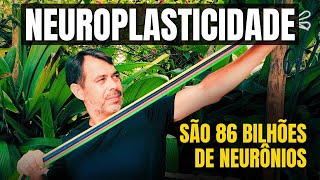 NEUROPLASTICIDADE CEREBRAL O QUE É São 86 bilhões de Neurônios à nossa Disposição estoicismo [upl. by Tnomyar333]