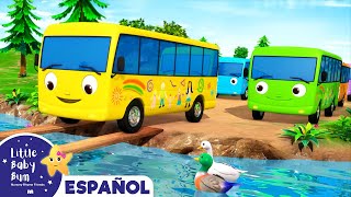 Diez Autobuses 2  Canciones Infantiles  Little Baby Bum Latino [upl. by Sherrie]