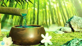 12 Hours Serene Bamboo Fountain Sounds and Relaxing Music for Stress Relief [upl. by Ethelinda]