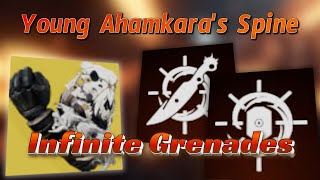 This Used To Be The Most Hated Hunter Exotic Now Its Good Again Young Ahamkaras Spine Is Back [upl. by Sirenay417]