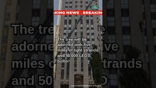 Rockefeller Center Christmas Tree Arrives in NYC KamalaHarris trump2024 Election2024 foryou [upl. by Pitarys]