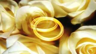 Anéis de Casamento  Video de Fundo Video Background HD [upl. by Fineman]