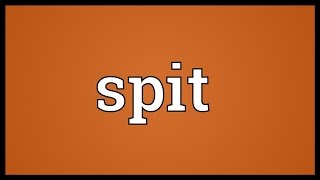 Spit Meaning [upl. by Rogerio445]