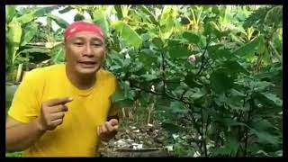 JEJAK SI GUNDUL EPISODE MABUK KECUBUNG [upl. by Keare434]