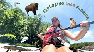 48 Hours Exploring Wild Florida  Paynes Prairie Preserve Primitive Camping amp Silver Springs Boating [upl. by Alicea]