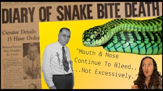 Scientist Studies His Own Death By Snake Bite  Herpin Hippie [upl. by Ttnerb]