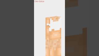 MY MINECRAFT SKIN  BEFORE AND AFTER [upl. by Ynnoj]