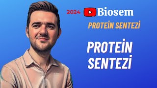 Protein Sentezi  Genden Proteine  Konu Anlatımı 12 Sınıf Biyoloji YKS 2024 [upl. by Beryl]