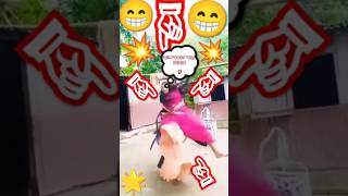 Didi chalu Kollam comedy🤣🤭😁😆👍 danceshortvideo2024 comedyvideo¢ [upl. by Resa373]