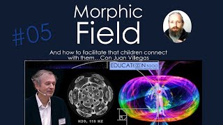 057 Morphic Fields and Quantum Education [upl. by Fredelia803]