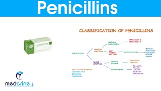 Penicillins classification MOA indications  side effects pharmacokinetics [upl. by Aicilra]